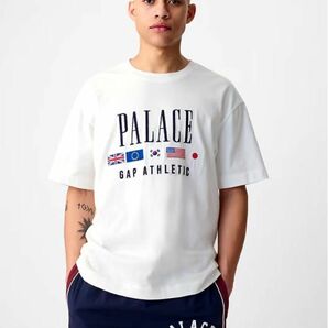 Palace Gap ヘビージャージー Tシャツ