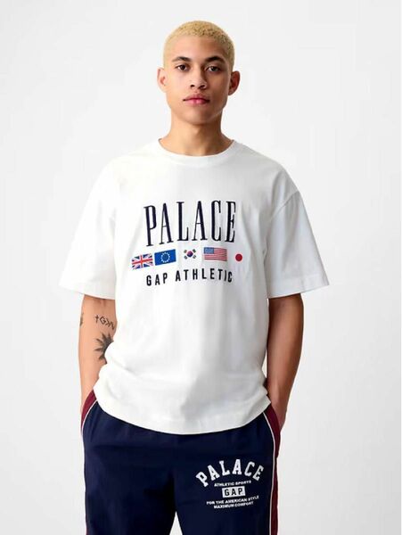 Palace Gap ヘビージャージー Tシャツ