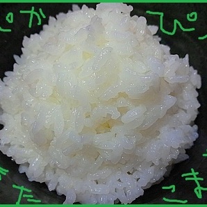 令和5年産【極上☆あきたこまち】玄米30Kg 特注化粧箱入 冷蔵庫保管（12℃保存）1等米 残留農薬ゼロ【残15袋限り】有機肥料 乳酸菌 減農薬 の画像1