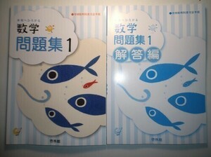 未来へひろがる数学問題集 １年　啓林館　別冊解答編付属　令和3年度改訂