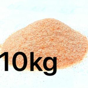 ヒマラヤ岩塩 食用　ピンクソルト 天然 10kg パウダー　粉