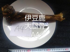 伊豆　鹿　大腿骨ジャーキーA4 ワンちゃん用おやつご褒美に天然無添加肉系ジャーキーとのおまとめが割安