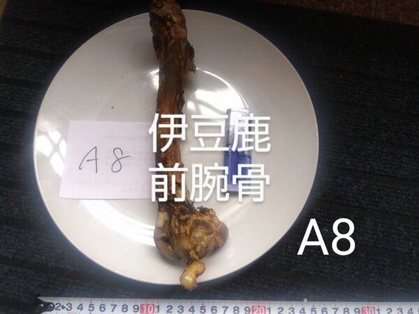 伊豆　鹿　前腕骨ジャーキーA8ワンちゃん用おやつご褒美に天然無添加肉系ジャーキーとのおまとめが割安