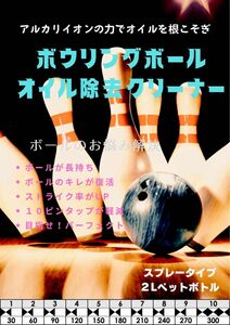 アルカリイオンパワーオイル除去ボールクリーナー スプレータイプ　Ver.10 1本　f0095