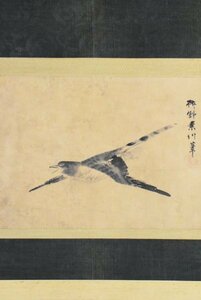 Art hand Auction K3337 模写 狩野章信 狩野素川｢鳥｣紙本 合箱 狩野家5代目 絵師 日本画 中国 絵画 骨董 掛け軸 掛軸 古美術 人が書いたもの, 絵画, 日本画, 花鳥, 鳥獣