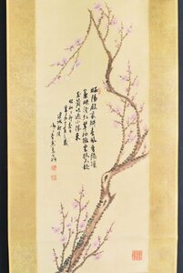 K3201 模写 小池連城「梅之図」紙本 共箱 美術年鑑掲載 日本画 中国 書画 掛軸 掛け軸 古美術 人が書いたもの