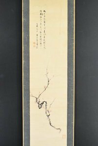 Art hand Auction K3205 模写 横山友章｢梅 画賛｣紙本 書 日本画 中国 書画 骨董 掛け軸 掛軸 古美術 人が書いたもの, 絵画, 日本画, 花鳥, 鳥獣