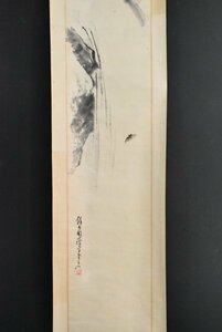 Art hand Auction 模写 安田半畊｢瀧に蝉｣紙本 安田耕逸次男 瀑布 セミ 花鳥 日本画 中国 書画 絵画 掛軸 掛け軸 古美術 人が書いたもの, 絵画, 日本画, 花鳥, 鳥獣