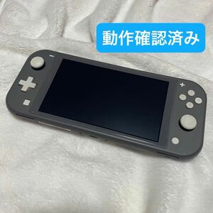 Nintendo Switch Lite 任天堂 ニンテンドー グレー ニンテンドースイッチ ライト 