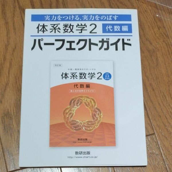 体系数学2 パーフェクトガイド 数研出版 代数編