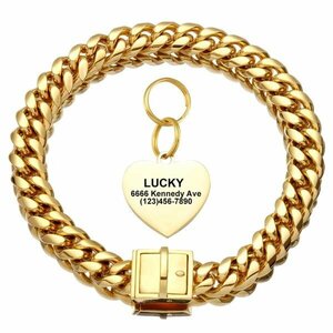  dog necklace Gold stainless steel chain metal tag cue ba dog cat harness lead pet 