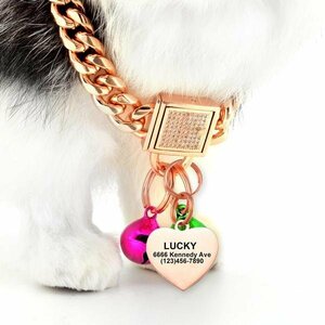  dog necklace gold chain tag dog cat harness lead pet 