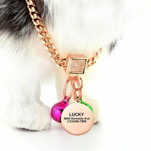  dog necklace cat Gold stainless steel race dog cat harness lead pet 