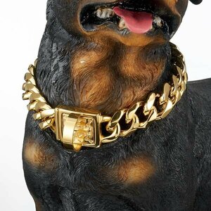 dog necklace Gold stainless steel cue ba dog cat harness lead pet 
