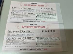 Bunkamura The Mu jiam/. island art gallery stockholder common invitation ticket 2 pieces set [ ordinary mai free ]