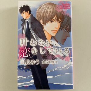 BL小説　凪良ゆう　叶わない、恋をしている 新書