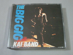 2CD◆甲斐バンド /ザ・ビッグ・ギグ　THE BIG GIG　2枚組 ライヴ盤