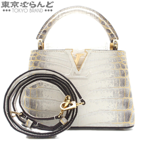 101726157 ルイヴィトン LOUIS VUITTON カプシーヌミニ 2WAY ハンドバッグ N98156 サハラ ニロティカス ショルダーバッグ レディース