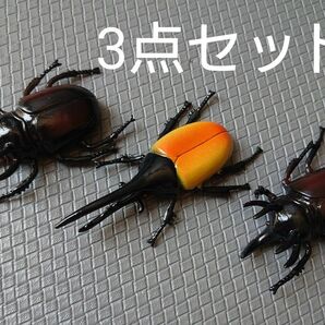 ヘラクレスオオカブト　コーカサスオオカブト　カブトムシ　クワガタ　フィギュア　まとめ売り