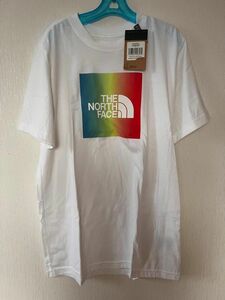 THE NORTH FACE ザノースフェイス 海外モデル Tシャツ 半袖　Lサイズ