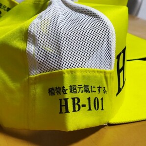 【新品未使用】HB-101 帽子 キャップ フローラ 人気の画像2