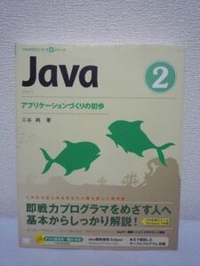 Java 2 アプリケーションづくりの初歩 三谷純 CD有 入門書 GUI▼