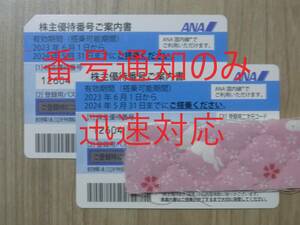 ★番号通知のみ 2枚組 迅速対応 ANA 株主優待券 5月末まで 全日空 番号ご案内書