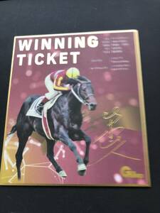  horse racing Tokyo Japan Dubey ui person g ticket Shibata . person uina- rare gold . autographed Mini square fancy cardboard new goods unused goods 