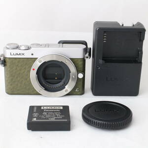 ☆良品☆ Panasonic パナソニック ミラーレス一眼カメラ LUMIX GM5 ボディ グリーン DMC-GM5-G #2151