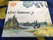 Albert Hammond Jr.★中古CD/EU盤「アルバート・ハモンドJr.～Yours To Keep」 _画像1
