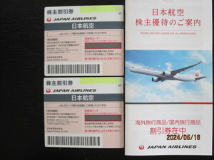 JAL株主優待券 (有効期間2024年6月1日～2025年11月30日まで)2枚 グループ優待券もセットします。