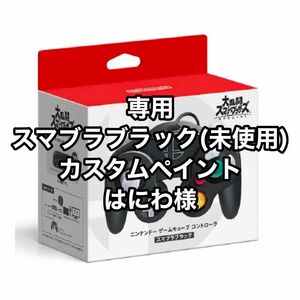 はにわ様 専用 塗装 新品 スマブラブラック