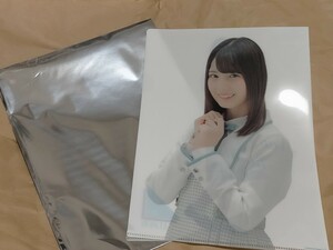 小坂菜緒 A4クリアファイル 日向坂46 POP UP STORE 限定クリアファイル 春の学割キャンペーン SHIBUYA109エンタテイメント