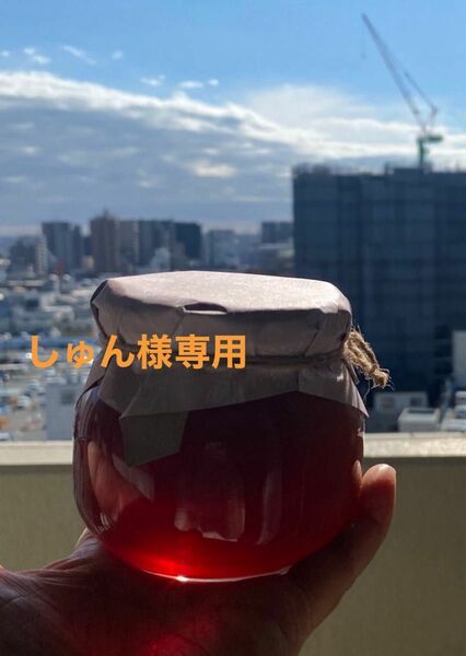 日本みつばちの蜂蜜　「幻の百花蜜」380g 1本　越冬熟成濃厚蜜　フルーティー味　垂れ蜜濾過採取