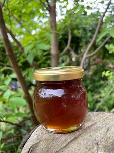 日本みつばちの蜂蜜　「幻の百花蜜」135g 1本　越冬熟成濃厚蜜　垂れ蜜濾過採取法　100%純粋蜜