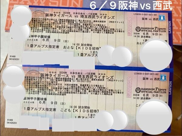 6/9(日) 阪神タイガース 甲子園球場　阪神対西武　親子チケット　1塁アルプス