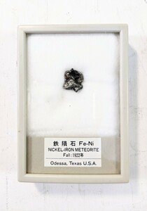 鉄隕石　アメリカ テキサス州 オデッサ 1922年に落下