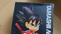 S.H.Figuarts ドラゴンボール 孫悟空 無邪気な挑戦者 TNS限定 魂ネイションストアー_画像4