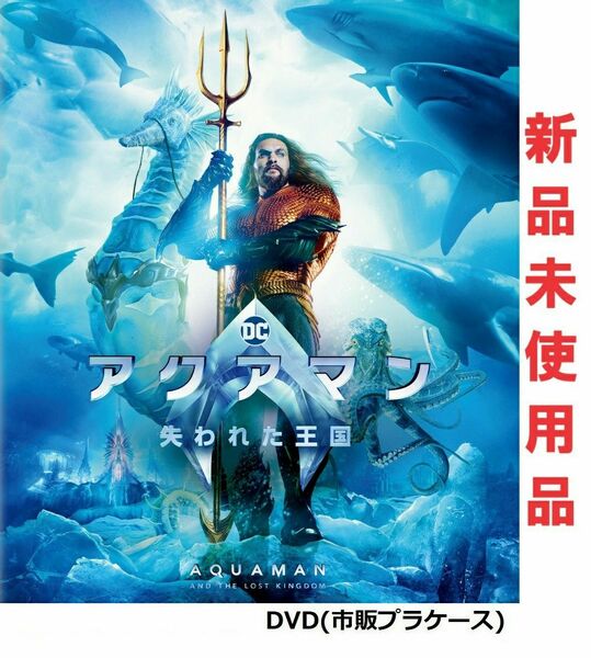 アクアマン／失われた王国 DVD 新品未使用 国内正規品