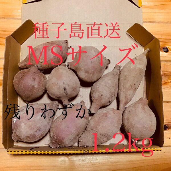 安納芋種子島産MSサイズ1.2kgさつまいも焼き芋に紅はるかより希少農薬不使用♪25