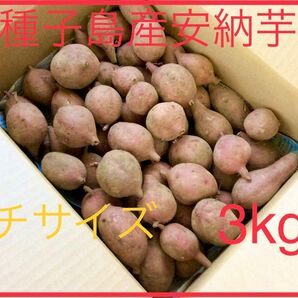 種子島産安納芋プチサイズ3kgさつまいも農薬不使用焼き芋に紅はるかより希少♪23