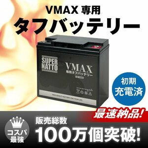 【大容量】 VMAX専用タフバッテリー【初期補充電済み】[1FK 2LT 3UF対応][YB16AL-A2上位互換]【専用品で純正レベルの安心】 スーパーナット
