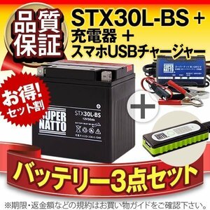◆お得3点セット【バッテリー+充電器+スマホUSBチャージャー】YTX30L-BS互換【バイクでスマホ充電!超便利!】