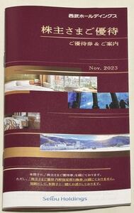 株主優待 西武 西武ホールディングス 1000株分冊子 2024年5月31日まで