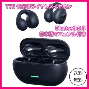 人気　T75 Bluetooth イヤーフック　ワイヤレスイヤホン　ブラック