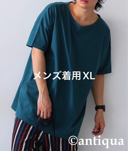 antiqua tree cafe 半袖 Tシャツ カットソー 新品 未使用 