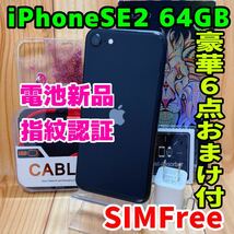 SIMフリー 本体 iPhone SE2 64 GB 395 ブラック 電池交換済_画像1