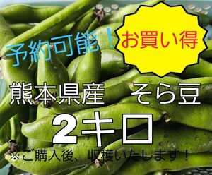 熊本県産　そら豆　60サイズ