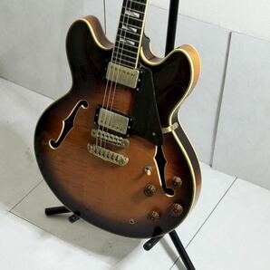 ARIA PRO II アリア プロ モデル TA-DLX ギターストラップ エレキ エレキギター 楽器 ソフトケース付き 弦楽器 の画像4