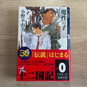 魔性の子 （新潮文庫　お－３７－５１　十二国記） 小野不由美／著